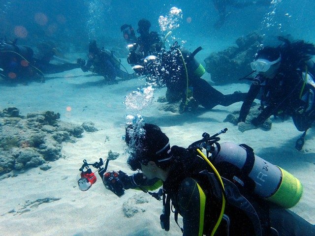 慶良間諸島の海