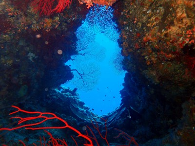 渡嘉敷島　カミグスク