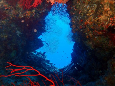 渡嘉敷島　カミグスク