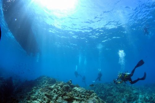 慶良間ブルーの海