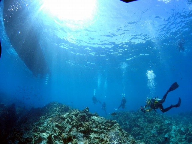 慶良間ブルーの海