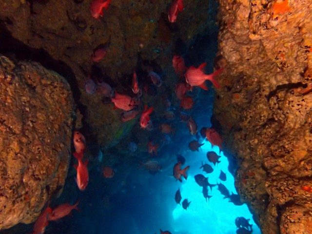 チービシ諸島ラビリンス
