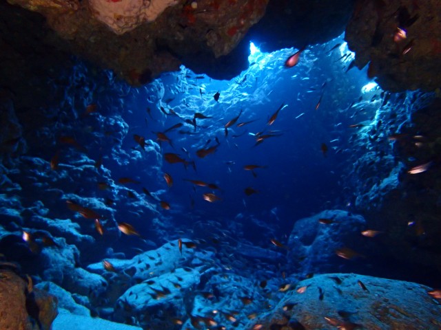 洞窟　慶良間諸島