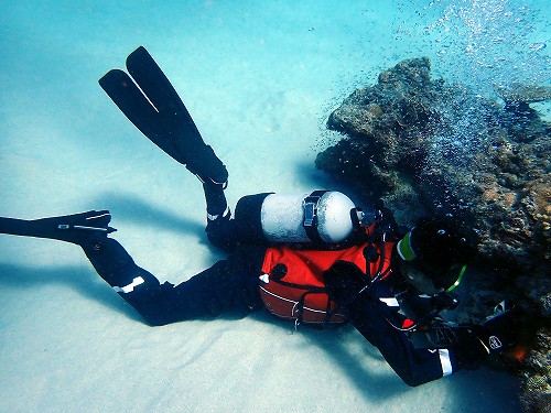 100dive 沖縄ダイビング 那覇シーマリン 沖縄本島那覇 慶良間ダイビング 那覇シーマリン