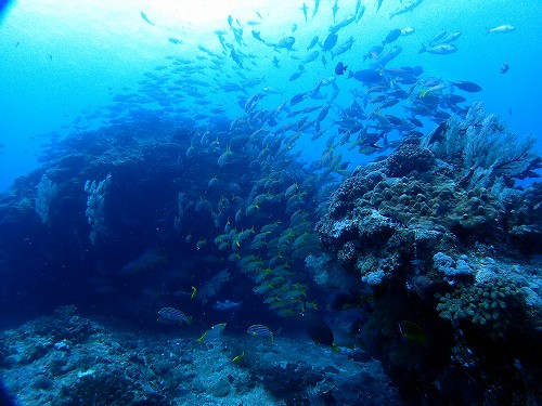 ウチザン礁