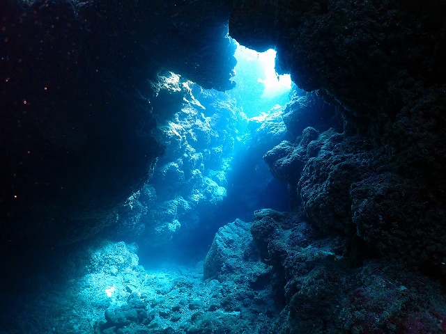 洞窟ダイビング