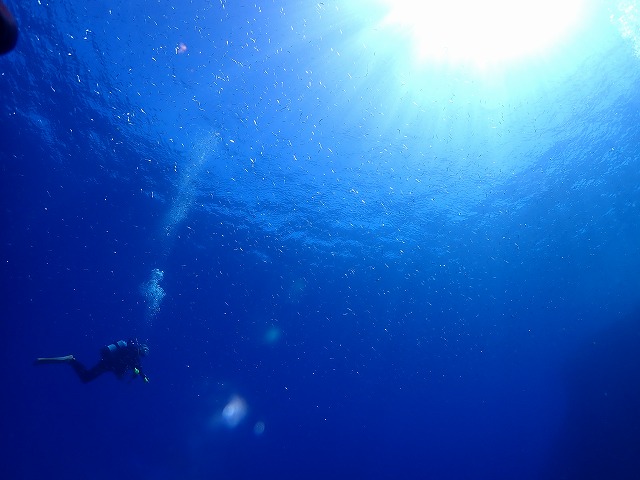 ケラマブルーの海