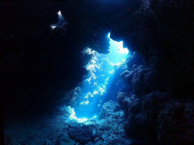洞窟ダイビング