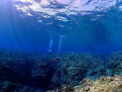 ケラマの海