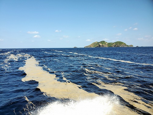 ＃軽石漂流　沖縄ケラマ諸島