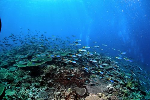 ケラマ諸島