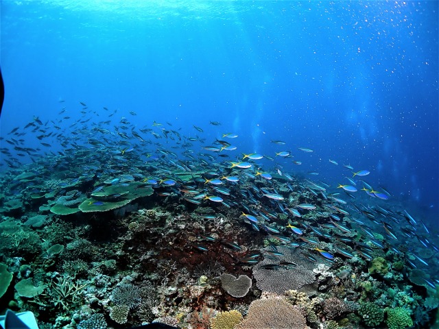 ケラマ諸島