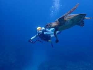 カメとダイバー