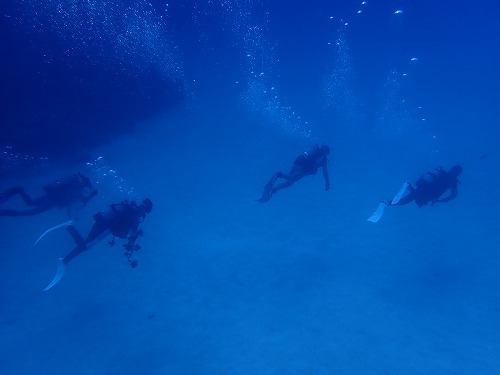 沖縄那覇・慶良間ダイビング　那覇シーマリン