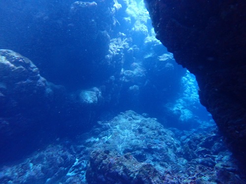 沖縄那覇・慶良間ダイビング　那覇シーマリン