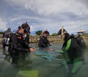 ＃ダイビングCカード