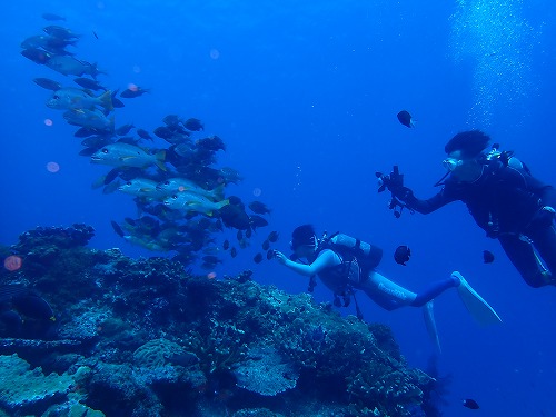 沖縄那覇・慶良間ダイビング　那覇シーマリン