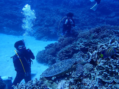 沖縄那覇・慶良間ダイビング　那覇シーマリン