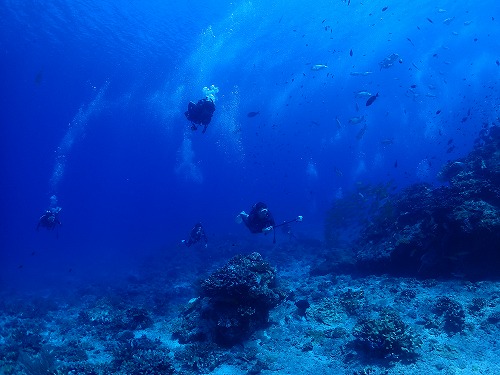 沖縄那覇・慶良間ダイビング　那覇シーマリン