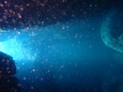 沖縄那覇・慶良間ダイビング　那覇シーマリン