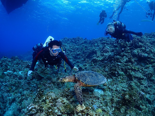沖縄那覇・慶良間ダイビング　那覇シーマリン