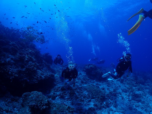 沖縄那覇・慶良間ダイビング　那覇シーマリン