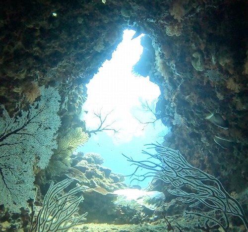 沖縄那覇・慶良間ダイビング　那覇シーマリン