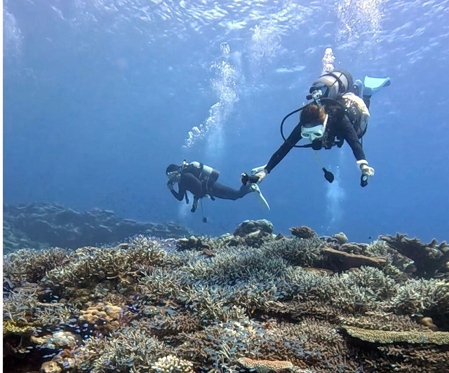 沖縄那覇・慶良間ダイビング　那覇シーマリン