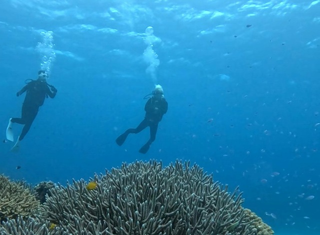沖縄那覇・慶良間ダイビング　那覇シーマリン