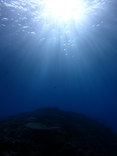 沖縄那覇・慶良間ダイビング　那覇シーマリン