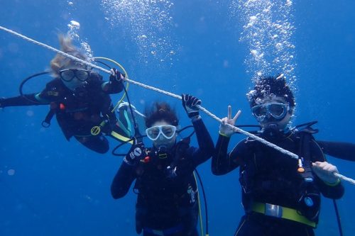 ＃ケラマ体験ダイビング