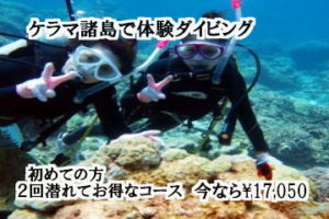 #ケラマ体験ダイビング