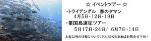 #粟国ダイビング