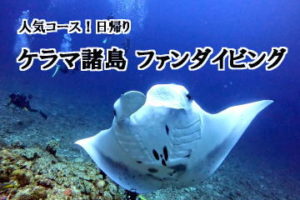#ケラマファンダイビング